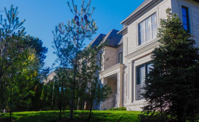 newly planted cedars and a freshly installed front lawn. The lawn is covered with new sod.